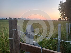sunet of countryside photo