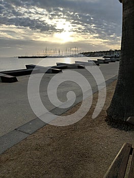 Sunet Pier & Tree photo