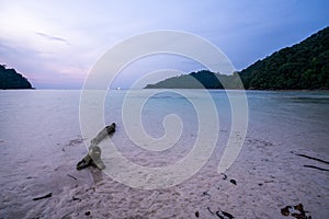 Sunet in Mai Ngam beach, Surin island national park, Pang Nga, Thailand