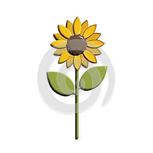 Sunflower 3D rendering illustration