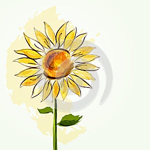 Sunflower background