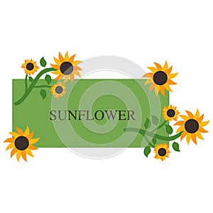 Sunflower banner