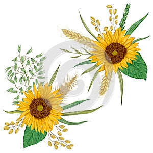 Sunflower, barley, wheat, rye, rice and oat. Collection decorative floral design elements.