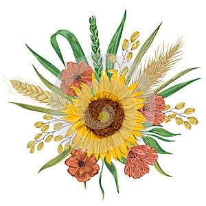 Sunflower, barley, wheat, rye, rice, poppy. Collection decorative floral design elements.