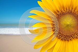 Sunflower on the beach