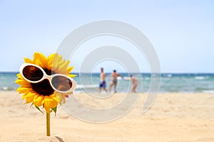Sunflower on the beach