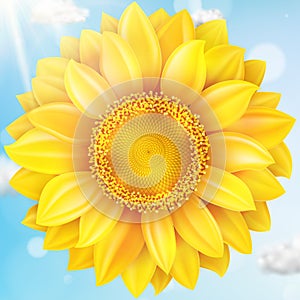 Sunflower with blue sky - autumn. EPS 10