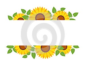 Sunflower border frame background. Sunflower template invitation greeting card