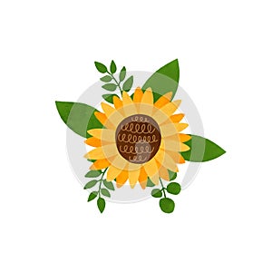 Sunflower bouquet isolated element. Watercolor hand drawn wildflower illustration