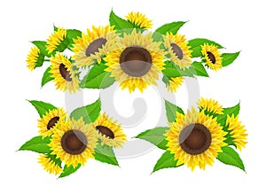 Sunflower collection for banner and bouquet