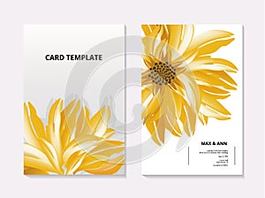 Sunflower contrast card template. Summer 3d realistic floral botanical wedding card, flora macro vector art. Garden paradase