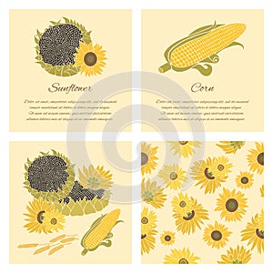 Sunflower and corn greeting card set on the bright background