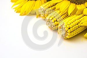 Sunflower and corn