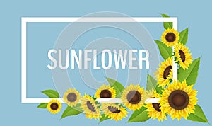 Sunflower corner decoration with white frame and blue background