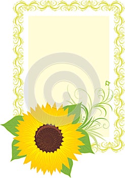 Sunflower in the decorative frame