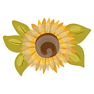 Sunflower desigh element for greeting cards,banners.