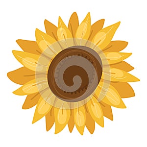 Sunflower desigh element for greeting cards,banners.