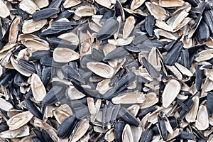 Sunflower empty seed shells