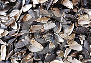 Sunflower empty seed shells