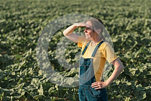 Sunflower farmer posing in field