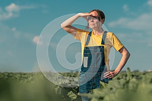 Sunflower farmer posing in field