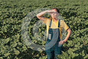 Sunflower farmer posing in field