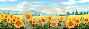 Sunflower field on beautifull hills panorama, sunny summer day landscape