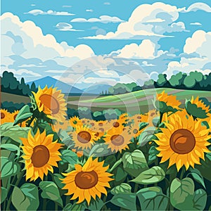 Sunflower field on beautifull hills, sunny summer day landscape