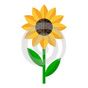 Sunflower Flat Icon Isolated on White