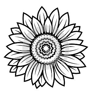 Sunflower flower. Black and white illustration of a sunflower. Linear art. Tattoo blooming sunflower.