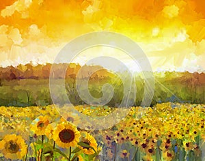 Girasole fiore fiore. olio il dipinto da rurale tramonto d'oro girasole. Caldo la luce da tramonto un 