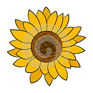 Sunflower Flower Isolated, Vector Illustration. Background For Your Needs