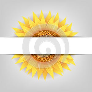 Sunflower Flower With Paper Banner