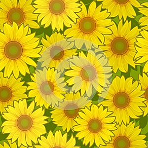Sunflower flower seamless background
