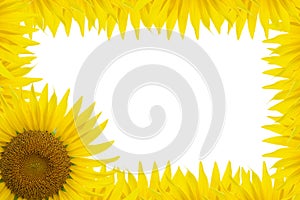 Sunflower Frame