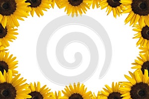 Sunflower frame photo