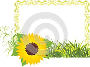 Sunflower with grass in the decorative frame