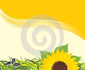 Sunflower with grass and pips. Background