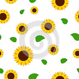 Sunflower with green leaves seamless pattern. Sunflowers on white background