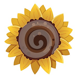 Sunflower icon isolated on white background. Vector illustration