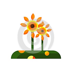 Sunflower icon vector isolated on white background, Sunflower si