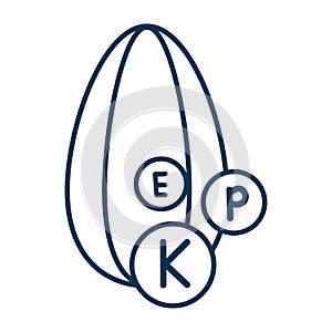 Sunflower kernel icon. A seed containing useful vitamins P, K, E for the body. Vector web outline thin line illustration