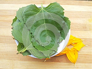 Sunflower leaves in bowl