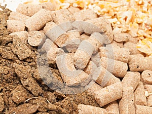 Sunflower meal, maize and bran background macro. Food for horses