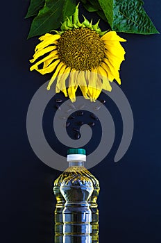 Sunflower oil bottle and flower on black background