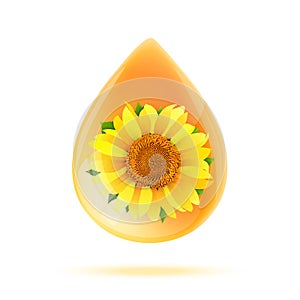 Sunflower oil drop isolated on white background vector