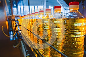 Sunflower oil. Factory line of production and filling of refined oil from sunflower seeds. Factory conveyor of food industry