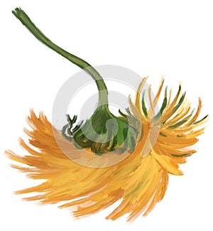 Sunflower oil painting impressionism brush vincent van gogh style summer flowers illustration art
