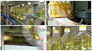 Sunflower oil on the production line- multi screen