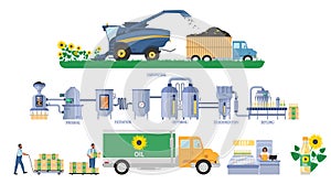 Sunflower oil production vector infographic. Seeds harvesting, transport. Vegetable oil processing plant. Food industry.